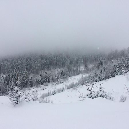 Коттедж у Михайла Славское Экстерьер фото